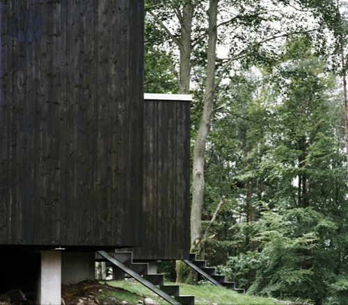 Дом на опушке по проекту Petra Gipp Arkitektur фото 3